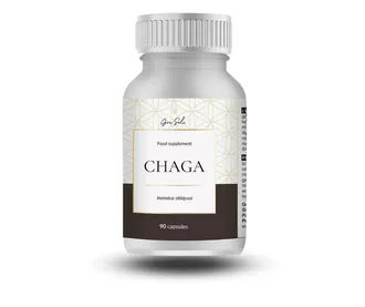 Chaga | Čaga (Maisto papildas)