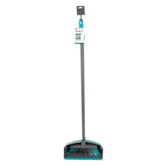 LONG HANDLED DUSTPAN AND BROOM