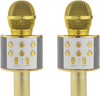 Intempo Wireless Karaoke Microphones, Set Of 2