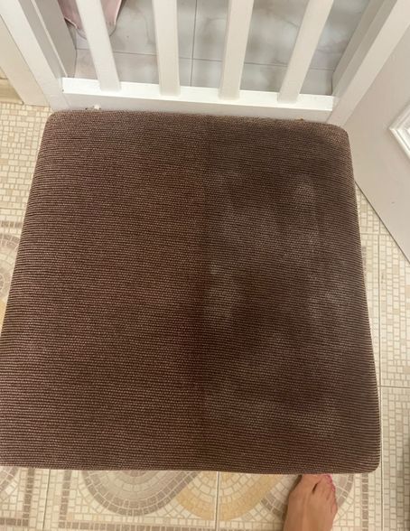 Bissell SpotClean C5 Select kilimų ir apmušalų siurblys