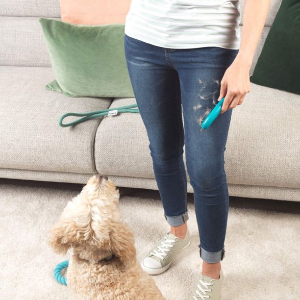 Beldray gyvūnų plaukų surinkimo įrankis