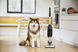 Bissell CrossWave X7 Plus Cordless Pet Pro plaunantis belaidis dulkių siurblys šluota