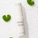 MIXSOON Centella Asiatica Stick Bal