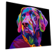 Splat Planet Canvas Paint By Numbers, Dog