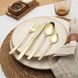 SALTER 16PC CHILTERN CUTLERY SET