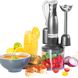 SALTER COSMOS 3 IN 1 BLENDER SET- 350W